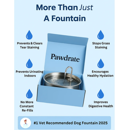 Pawdrate: Fresh, Filtered Water Every Day