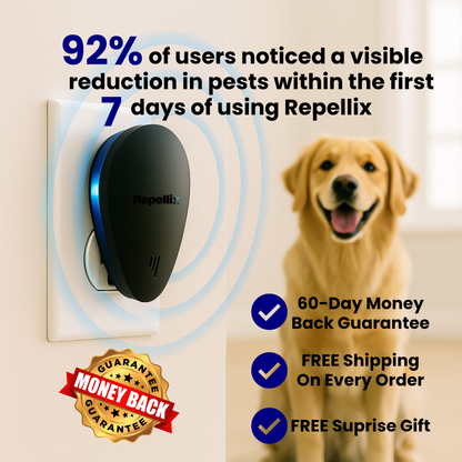 Don't Let Pests Put Your Pets and Family's Health At Risk