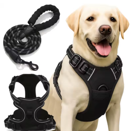 BetterWalk Harness