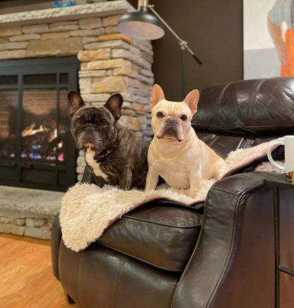 PawCraft Luxe Pet Blanket - Waterproof Faux Fur Throw