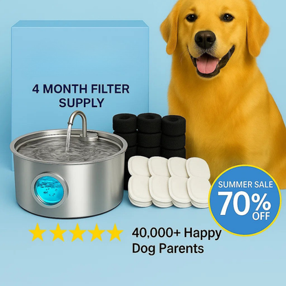 Pawdrate: Fresh, Filtered Water Every Day