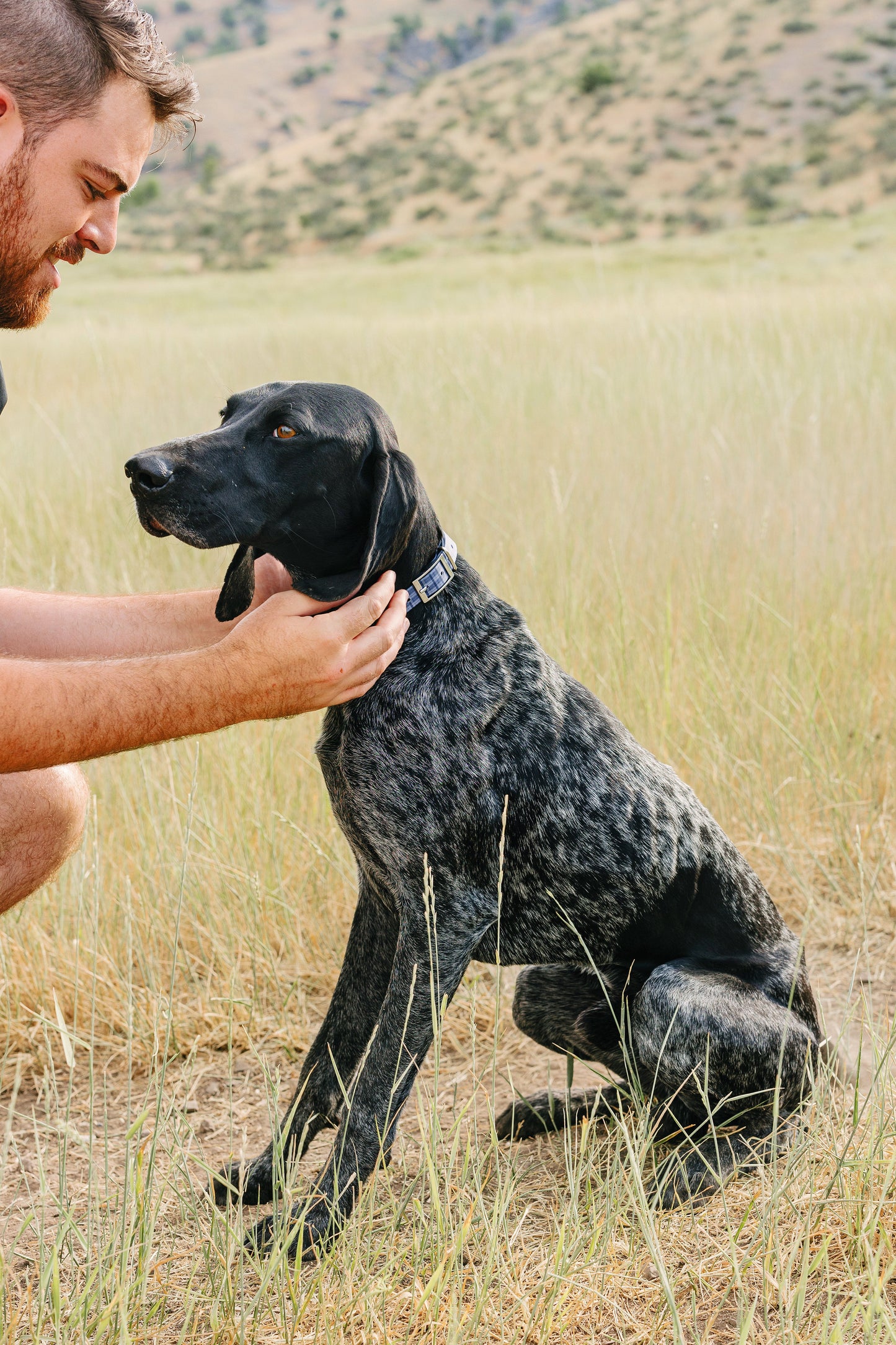 PawriotPro Series - Wireless GPS Dog Fence