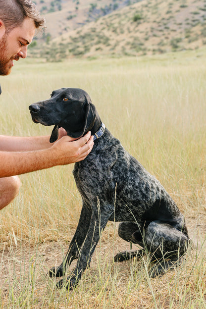 PawriotPro Series - Wireless GPS Dog Fence