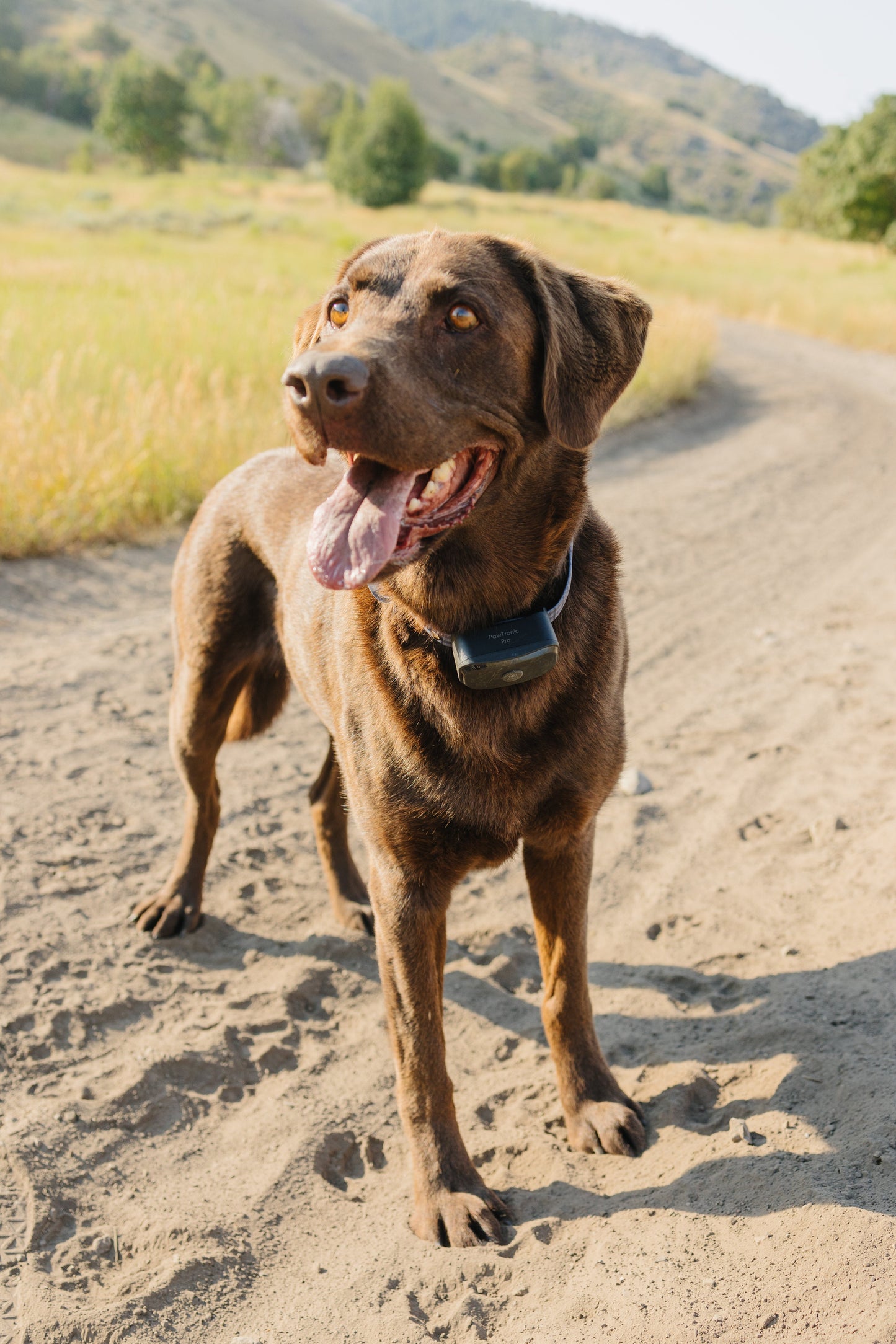 PawriotPro Series - Wireless GPS Dog Fence