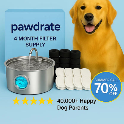 Pawdrate: Fresh, Filtered Water Every Day