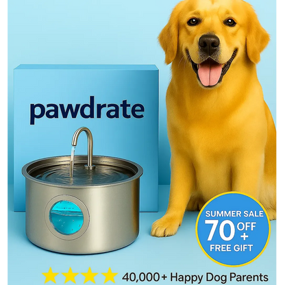 Pawdrate: Fresh, Filtered Water Every Day